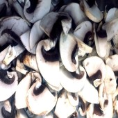 Μανιτάρια | Mushrooms